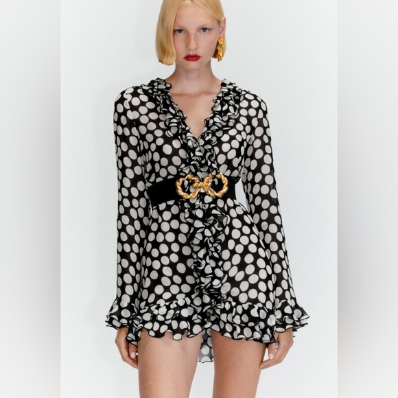 New Zara Ruffled Polka Dot Blouse / Dress - 8039/056 - Picture 1 of 13